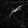 Stadtplan WANNE-EICKEL - Just a black Map I Digitaldruck Stadtkarte citymap City Poster Kunstdruck Stadt Karte Bild 2