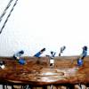 maritimes Windspiel Treibholz Mobile mit Muscheln und Perlen Klangspiel Bild 10