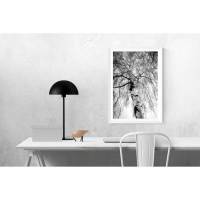 Birke Baum Winterbirke Naturfotografie schwarz-weiß, harmonisches Wandbild, Dekoration für die Schlafzimmerwand, 30 x 20 cm und 45 x 30 cm Bild 1