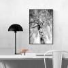 Birke Baum Winterbirke Naturfotografie schwarz-weiß, harmonisches Wandbild, Dekoration für die Schlafzimmerwand, 30 x 20 cm und 45 x 30 cm Bild 2