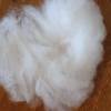 50 Gramm gelockte Wolle vom Bluefaced Leicester Bild 3