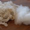 50 Gramm gelockte Wolle vom Bluefaced Leicester Bild 4