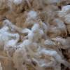 50 Gramm gelockte Wolle vom Bluefaced Leicester Bild 6