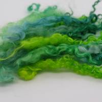 20 Gramm gefärbte Wensleydale Locken "Variation in Grün", Puppenhaar, Spinnen, Weben, Filzen und Basteln Bild 1