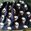 French Terry Sweat Skulls weißer Totenköpfe Schädel mit Farbverlauf auf schwarz Bild 5