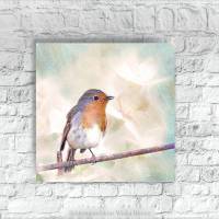 ROTKEHLCHEN Tierbild auf Holz Leinwand Print Wanddeko Vogel Frühlingsbote Landhausstil Vintage Shabby Chic online kaufen Bild 1