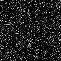 Baumwolljersey Dots schwarz/weiß Bild 1