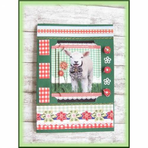 Glückwünschkarte mit Schaf, Lämmchen