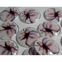 5  Cabochon, Cabochons,Blume, Blumen, Glascabochons,20mm Bild 1
