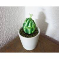 Eifrosch Kaktus, Froschfigur, kleiner Frosch, Froschplastik, Mini Frosch, Ei, kleine Skulptur, Sukkulente, Kaktusfrosch,  witzige Skulptur Bild 1