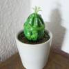 Eifrosch Kaktus, Froschfigur, kleiner Frosch, Froschplastik, Mini Frosch, Ei, kleine Skulptur, Sukkulente, Kaktusfrosch,  witzige Skulptur Bild 5