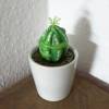 Eifrosch Kaktus, Froschfigur, kleiner Frosch, Froschplastik, Mini Frosch, Ei, kleine Skulptur, Sukkulente, Kaktusfrosch,  witzige Skulptur Bild 6