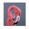 Flamingofrosch, Flamingo Bild, Bild pink, Flamingo, Frosch Bild, witziges Bild, Mini Bild, kleines Bild, Bild als Geschenk, Geburtstag Bild 2