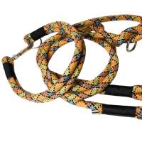 Leine Halsband Set gelb, orange, graublau, schwarz für mittelgroße Hunde Bild 1