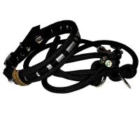 Leine Halsband Set schwarz silber sehr edel mit Kristallstein, für mittelgroße Hunde, verstellbar Bild 1