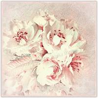 APFELBLÜTE Blumenbild auf Holz Leinwand Kunstdruck Baumblüte Wandbild Landhausstil Shabby Chic Vintage Style Romantisch Bild 7