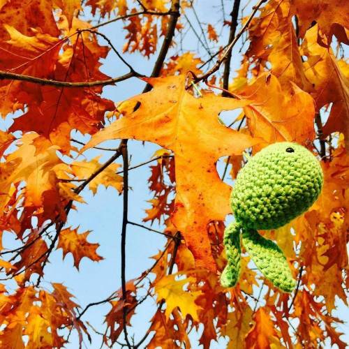 Amigurumi - Häkelanleitung - Goldfisch Mobile