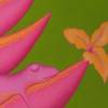 Bromelienfrosch , Bild Frosch, Froschbild, Blüte, exotische Blüte, Bromelie, Blütenbild, Blumenbild, Stilleben, Bromelie Bild, Bilder, Frog Bild 2