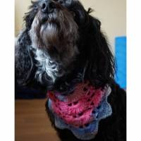 Hundehalstuch in der Farbverlaufswolle rosa/lila Halsumfang bis 32 cm Bild 1