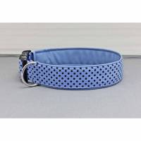 Hundehalsband mit Punkten, hellblau und schwarz, gepunktet, mit Kunstleder in blau, Polka Dots, trendy, Hund, Halsband Bild 1