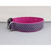 Hundehalsband mit Punkten, lila und rosa, gepunktet, mit Kunstleder in pink, Polka Dots, Tupfen, trendy, Hund, Halsband Bild 1