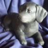 Schwarzer Labrador,Keramikfigur,Hund,Deco,Welpe Bild 7