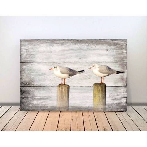 Maritimes Mowenduo Bild Auf Holz Leinwand Print