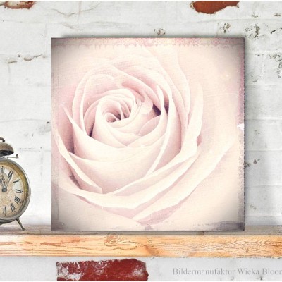 ROSE NOSTALGICA Blumenbild auf Holz Leinwand Kunstdruck Wanddeko Landhausstil Romantisch Shabby Chic Vintage Style