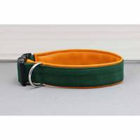 Hundehalsband in dunkelgrün, uni, mit Kunstleder in orange, bunt, olivgrün, grün, stylisch, modern, Hund, Halsband Bild 1