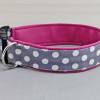 Hundehalsband mit Punkten, grau und weiß, mit Kunstleder in pink, gepunktet, Polka Dots, verspielt, Hund, Halsband Bild 2