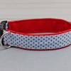 Hundehalsband mit Punkten, hellblau und rot, gepunktet, mit Kunstleder in rot, Polka Dots, Tupfen, trendy, Hund, Halsband Bild 2
