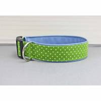 Hundehalsband mit kleinen Punkten, hellgrün und weiß, mit Kunstleder in hellblau, gepunktet, Polka Dots, stylisch, Hund, Halsband Bild 1