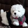 Pullover für kleine Hunde Hellgrau Grau Pink Anthrazit gestrickt Wolle Lana Grossa Colorblocking Rückenlänge 26 cm Bild 6