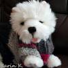 Pullover für kleine Hunde Hellgrau Grau Pink Anthrazit gestrickt Wolle Lana Grossa Colorblocking Rückenlänge 26 cm Bild 7