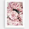 Pfingstrosen, romantisches Blumenprint in Pastell Rosa und Altrosa, Florales Wandbild Poster Fine Art Fotografie, 30 x 20 cm, 45 x 30 cm oder 40 x 30 cm Bild 2