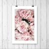 Pfingstrosen, romantisches Blumenprint in Pastell Rosa und Altrosa, Florales Wandbild Poster Fine Art Fotografie, 30 x 20 cm, 45 x 30 cm oder 40 x 30 cm Bild 4