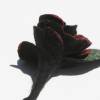 Filzrose Schlüsselband schwarz Schlüssel-Rose Bild 3