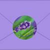 Aufkleber | Herzliche Grüße - Lavendel - nach Aquarellart Bild 2