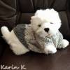 Pullover für kleine Hunde Hellgrau Anthrazit gestrickt Wolle Lana Grossa Colorblocking Rückenlänge 28 cm Bild 1