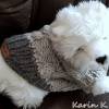 Pullover für kleine Hunde Hellgrau Anthrazit gestrickt Wolle Lana Grossa Colorblocking Rückenlänge 28 cm Bild 10