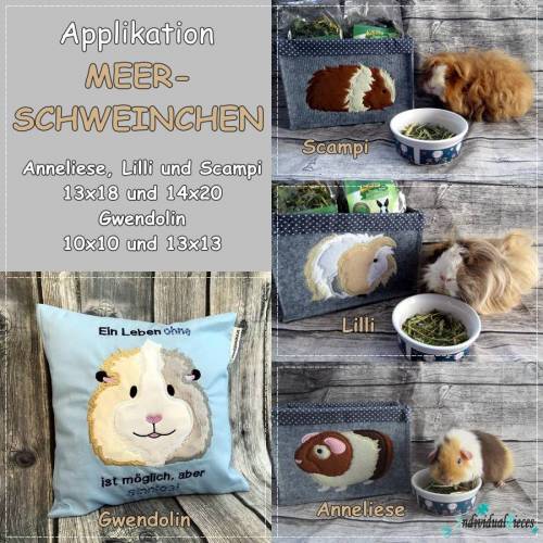 Meerschweinchen Applikation
