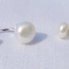 Doppel-Perlenohrringe, weiße Perlenohrringe, echte Süßwasser-Perlenohrringe two-in-one Bild 5