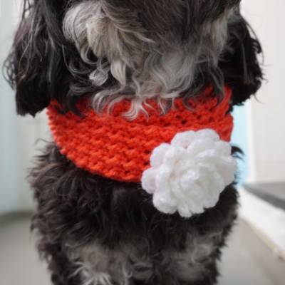 Häkelanleitung für den Hundeloop 