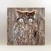 EULE RUSTIKAL Waldtiere Vögel Tierbild auf Holz Leinwand Kunstdruck Wanddeko Baum Borke Landhausstil Shabby Chic kaufen Bild 2