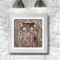 EULE RUSTIKAL Waldtiere Vögel Tierbild auf Holz Leinwand Kunstdruck Wanddeko Baum Borke Landhausstil Shabby Chic kaufen Bild 4
