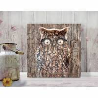 EULE RUSTIKAL Waldtiere Vögel Tierbild auf Holz Leinwand Kunstdruck Wanddeko Baum Borke Landhausstil Shabby Chic kaufen Bild 5