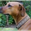 Halsband 45 oder 55mm breit mit Zugstopp für Hunde, Hundehalsband für den großen Hund wie Ridgeback, Dogge, Weimaraner Bild 4