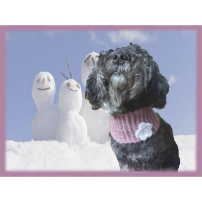 Häkelanleitung für den Hundeloop 