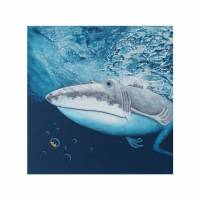 Der Weiße Frosch, Der Weiße Hai, shark, white shark, Frosch Bild, Froschbild, Acrylbild Frosch, Acrylbild, Hai, Haibild, unter Wasser, Meer Bild 1