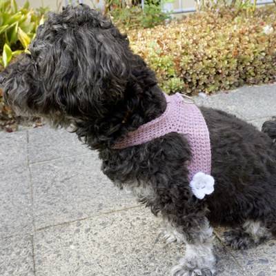 Häkelanleitung Geschirr für kleine Hunde